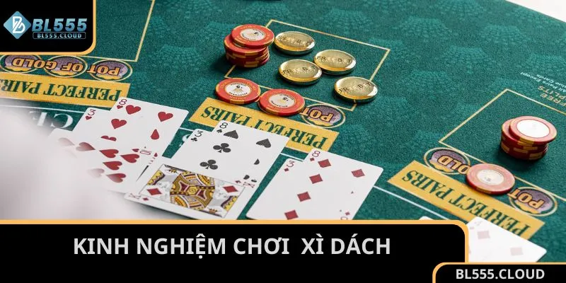 Kết hợp cách chơi Xì Dách cùng kinh nghiệm 