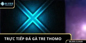 3 Trận Trực Tiếp Đá Gà Tre Thomo Đáng Xem Nhất Năm 2026